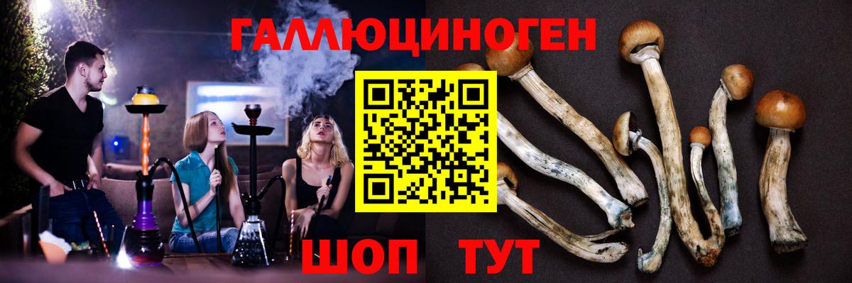 Псилоцибиновые грибы Cubensis Медногорск